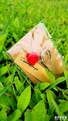 【簡(jiǎn)單生活】＋濱海公園手記