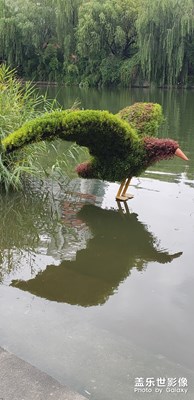 風(fēng)景