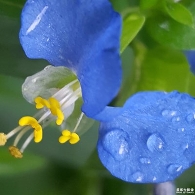 賞悅