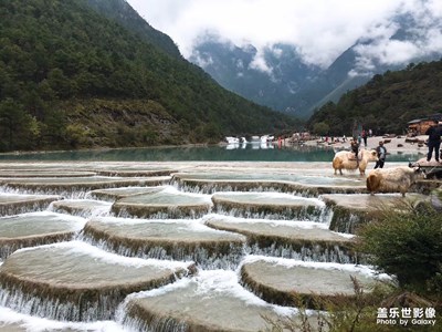 風(fēng)景