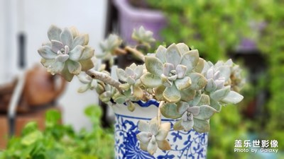 山竹來了，我在拍照