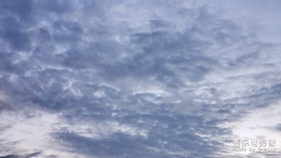 天氣正好，隨意拍點圖，拍點圖