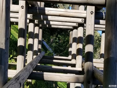 最美瞬間+光影交錯(cuò)