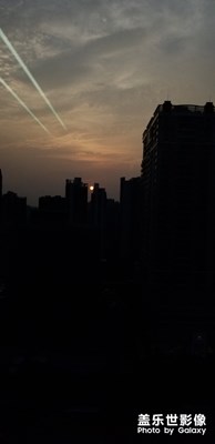 蛋黃，