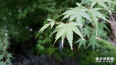 隨手一拍，便是美圖