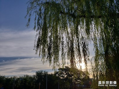 清晨的陽光