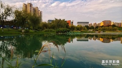 熱愛(ài)生活+無(wú)憂無(wú)慮的日子
