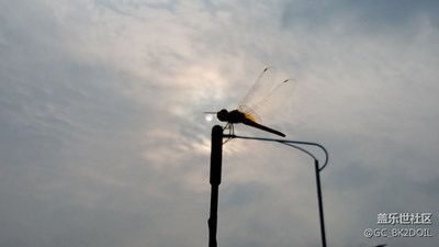 散步隨拍