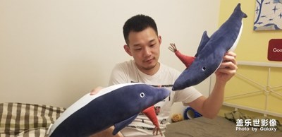 鯊魚