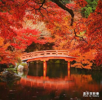 分享一波美圖