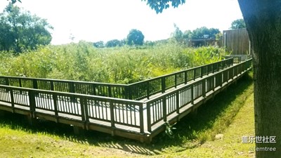 濕地公園