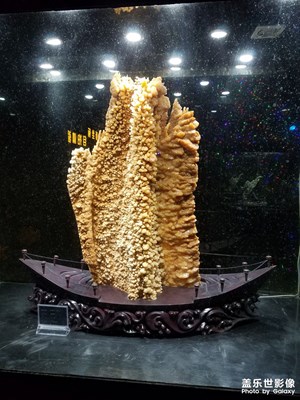 隨手拍