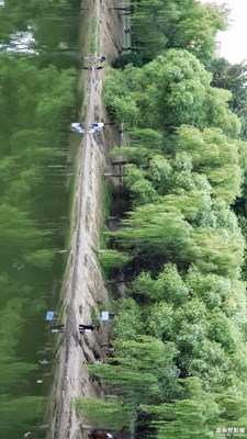 青山綠水