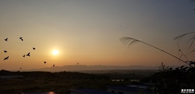 夕陽(yáng)西下群鳥飛