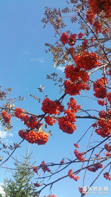 【相機(jī)里的國(guó)慶】+哈爾濱鍋盔山