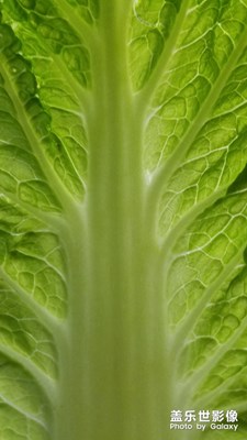 【相機(jī)里的國慶】+五彩斑斕的國慶