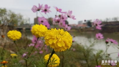 秋日