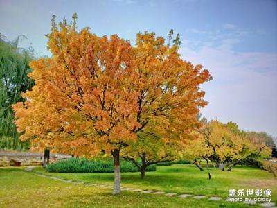 東河點(diǎn)畫