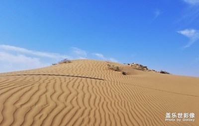 沙漠風(fēng)情