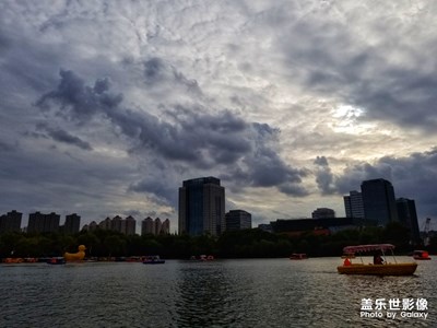 公園泛舟