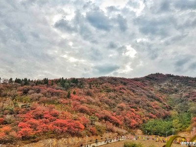 周末賞紅葉之旅-博山九龍峪