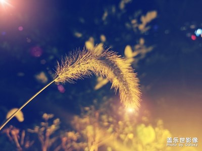 一組小清新