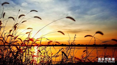 紅塵·仙境