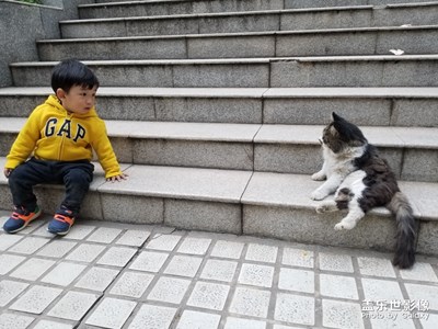 凝視的瞬間
