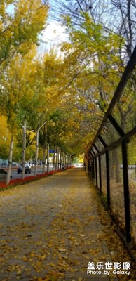 路邊隨拍