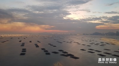 夕陽(yáng)的深圳灣