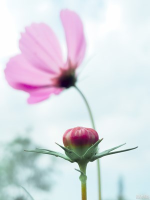 NOTE9隨拍