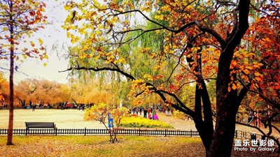 赤橙黃綠藍靛紫