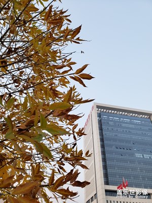 秋日風(fēng)景