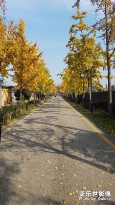 公園一角
