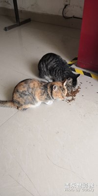 吃飯了