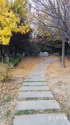 沂河公園