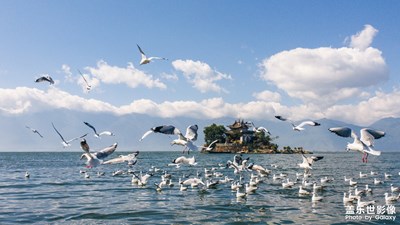 【為中國(guó)添色】海天一色(專(zhuān)業(yè)組)