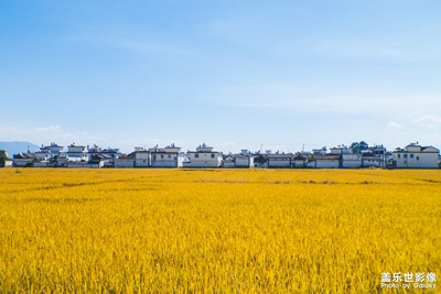 【為中國(guó)添色】金玉深秋(專(zhuān)業(yè)組)