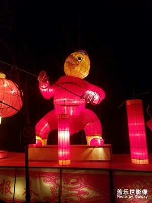 我的日常+夜游公園