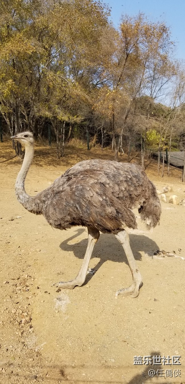 20181103沈陽星部落棋盤山動(dòng)物園一日游感悟（一）