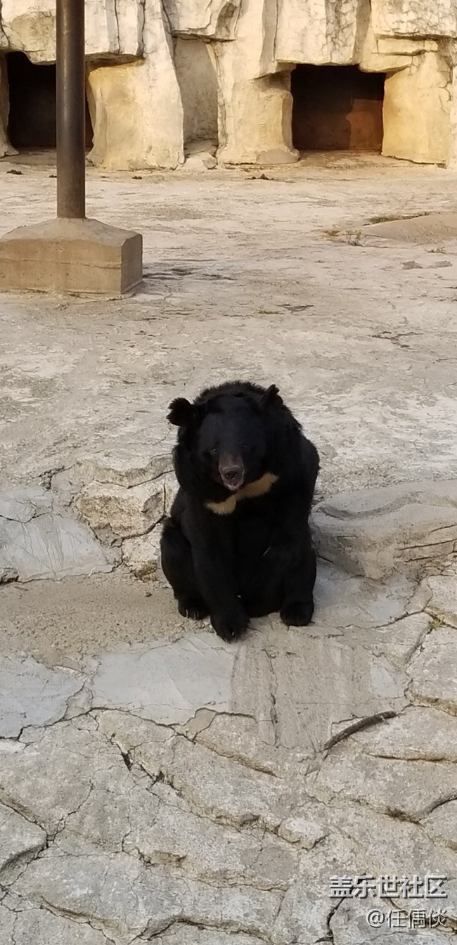 20181103沈陽星部落棋盤山動(dòng)物園一日游感悟（一）