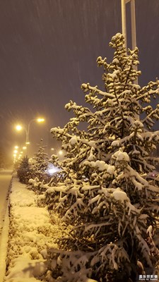 風(fēng)雪之夜