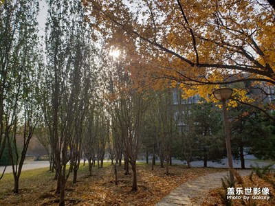 學(xué)校隨手拍...