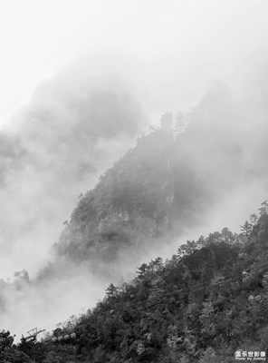 霧里的山林風(fēng)景