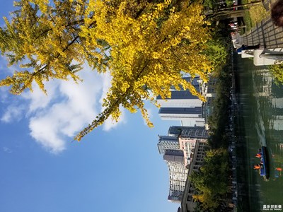 【百變天氣】+冷空氣帶走霧霾帶來(lái)藍(lán)天