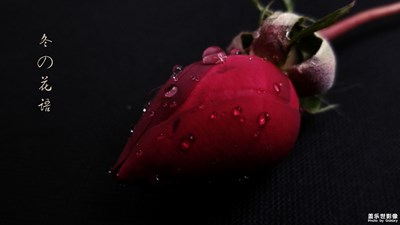 花語露