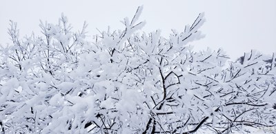南國-西嶺雪山