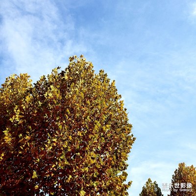 縣城的秋