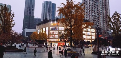 天微涼，杏漸黃； 夜色暗，回家忙