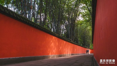 【為中國(guó)添色】秀色蓉城